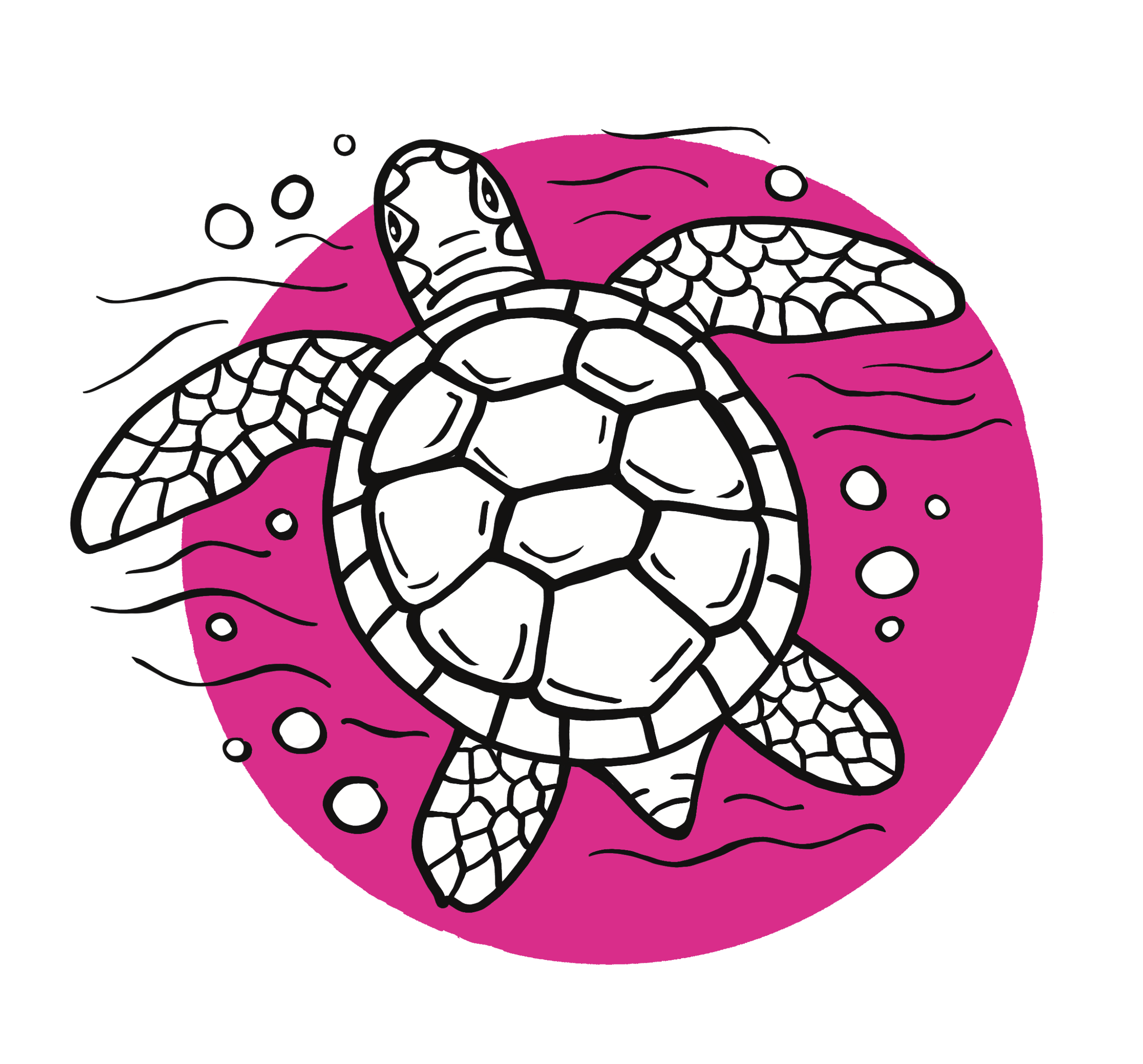 Eine einfache Grafik einer Schildkröte von der Seite gesehen. Der Panzer und die kleinen Beine sind mit wenigen, präzisen Strichen dargestellt.