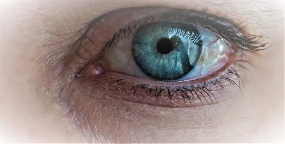 Eine Nahaufnahme eines blauen Auges